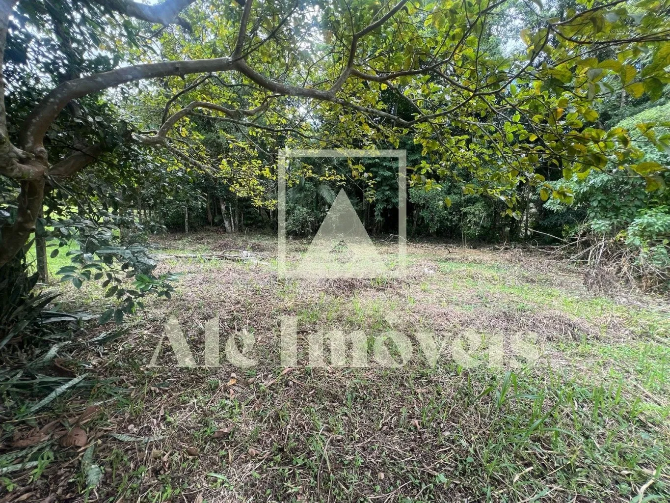 Terreno Exclusivo no Centro de Pomerode: Oportunidade Única para Morar ou Investir — foto 7