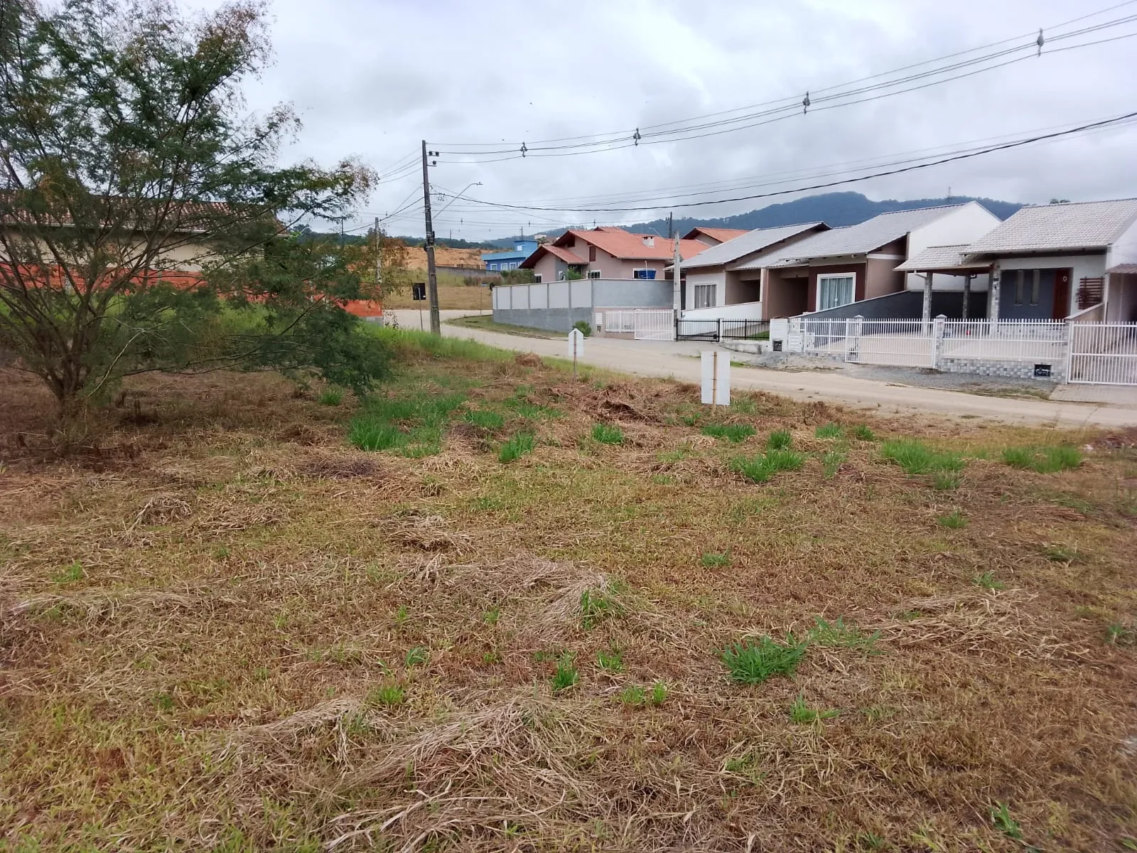 VENDO TERRENOS - foto 1