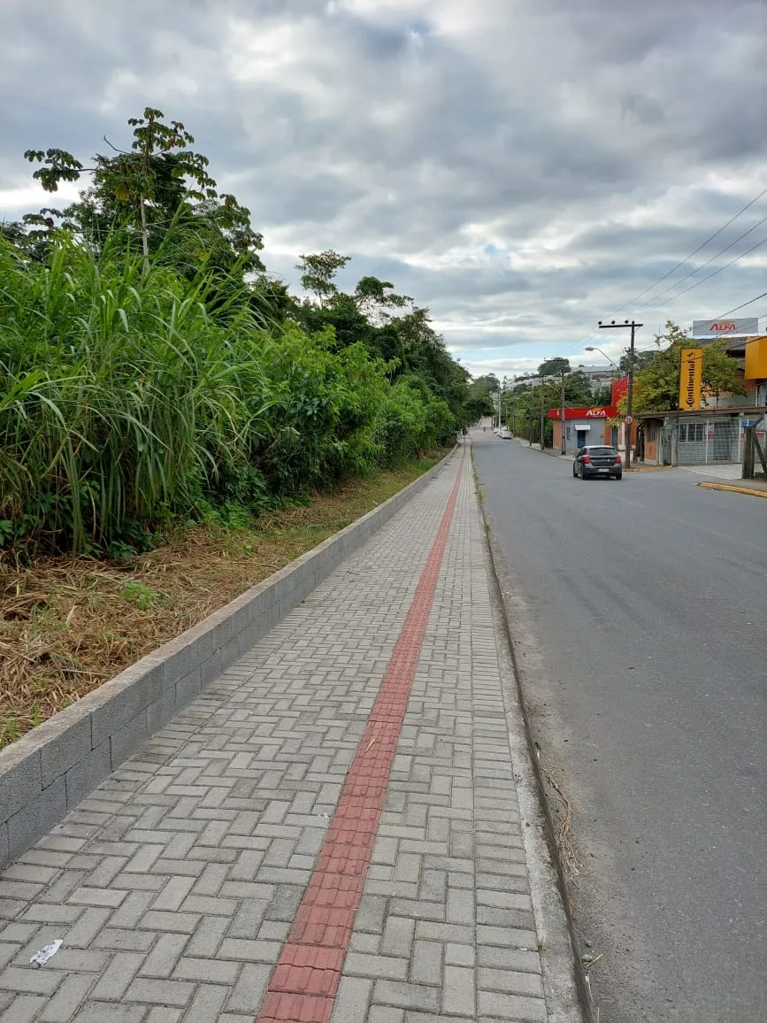 Terreno na BR-470 com Alwin Rutzen — foto 2
