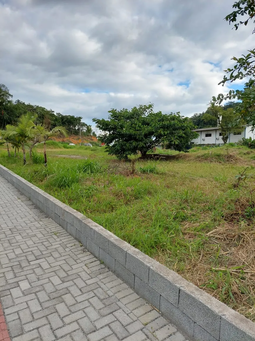 Terreno na BR-470 com Alwin Rutzen — foto 3