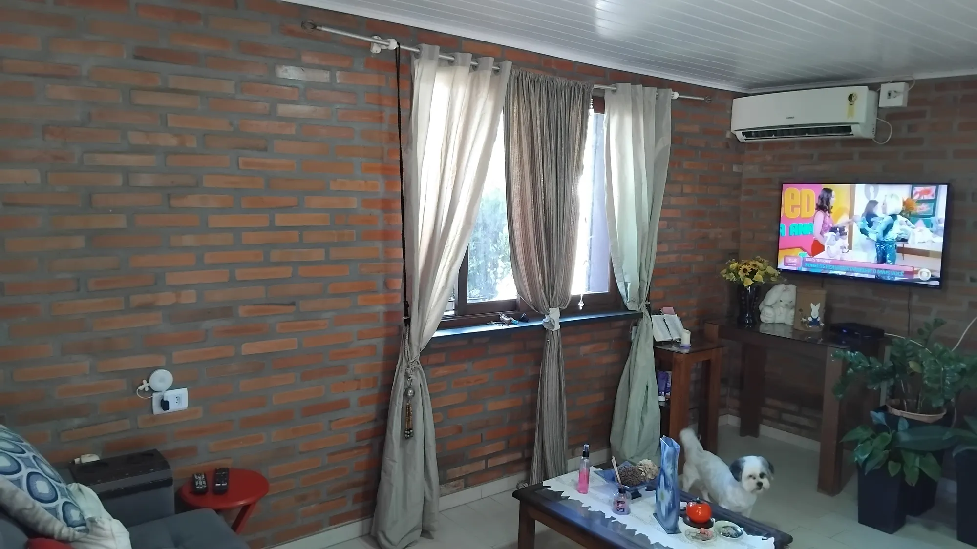 Casa Escola Agrícola - Próximo Cooper Vila Nova — foto 3