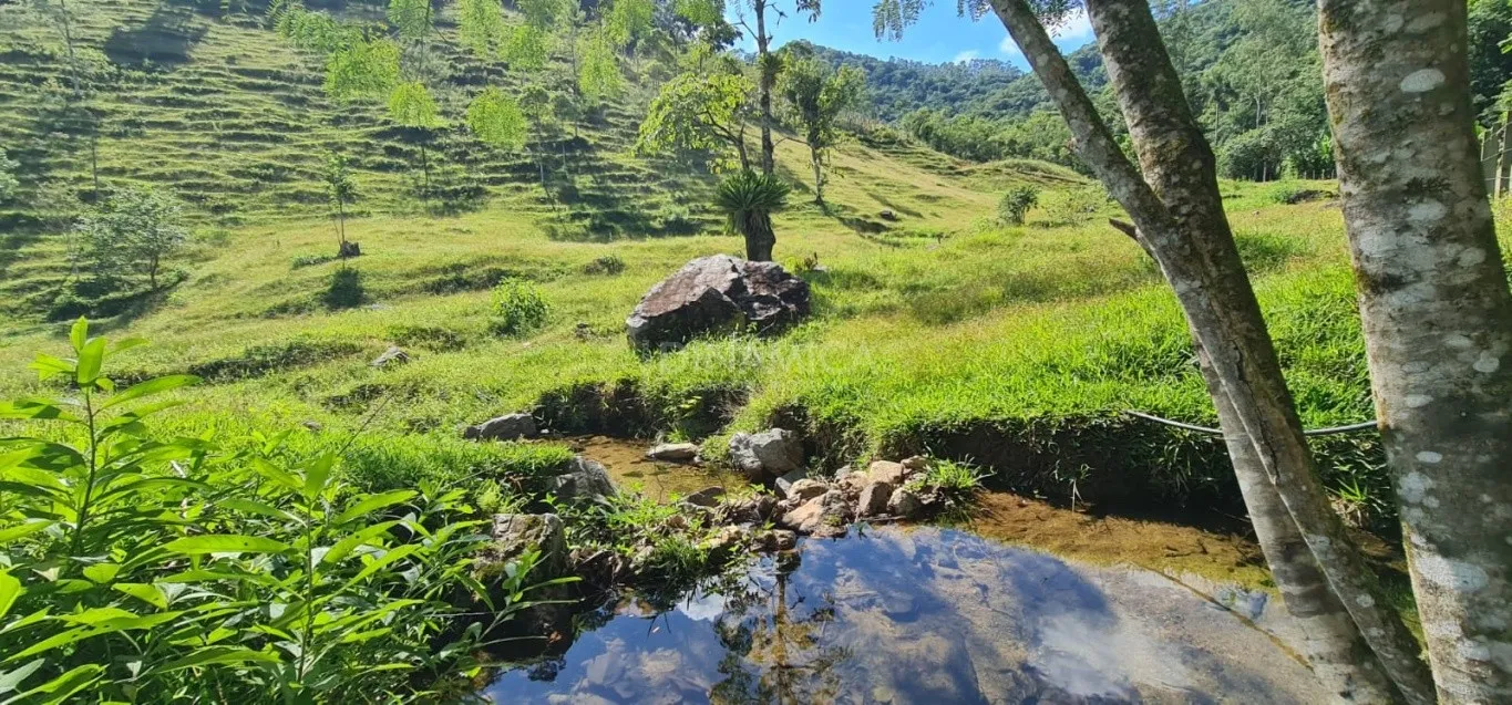 Comprar terreno rural na Rota do Enxaimel, no bairro Testo Alto em Pomerode-SC — foto 2