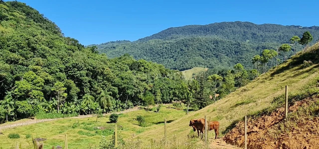 Comprar terreno rural na Rota do Enxaimel, no bairro Testo Alto em Pomerode-SC — foto 5