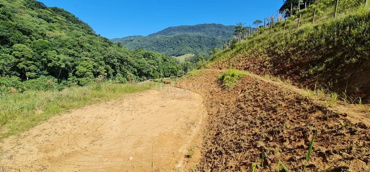Comprar terreno rural na Rota do Enxaimel, no bairro Testo Alto em Pomerode-SC — foto 6