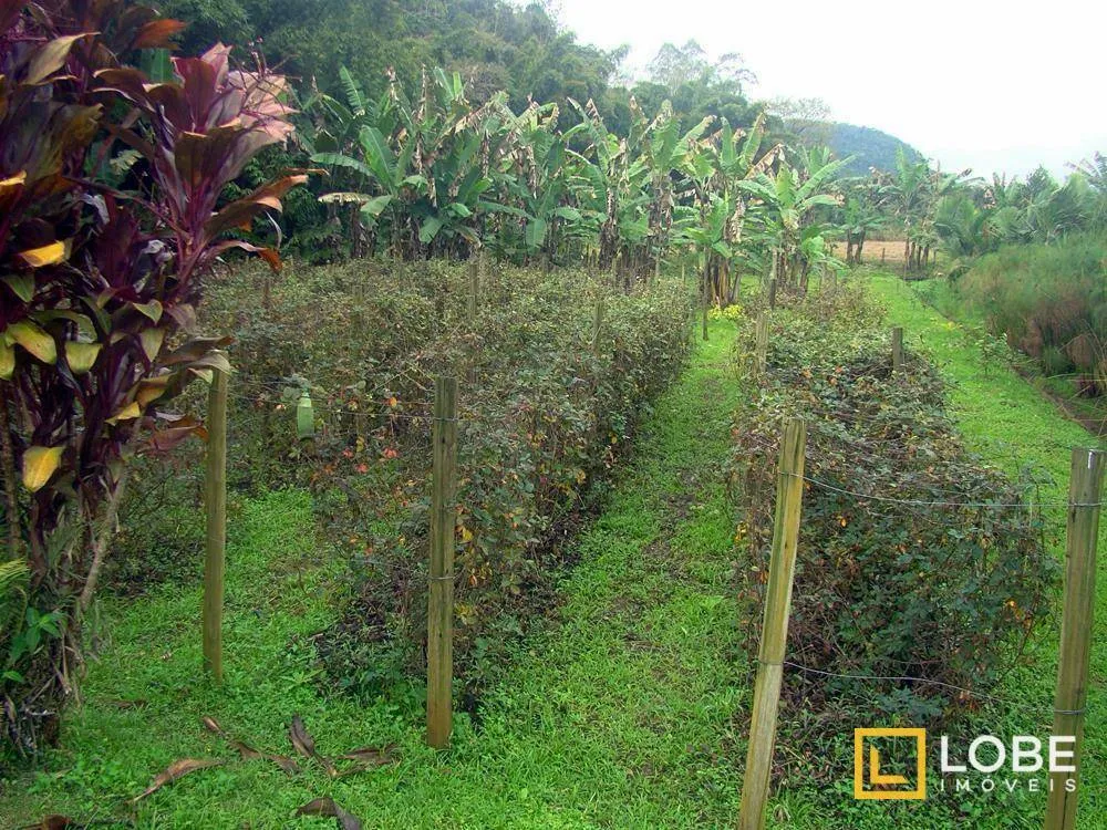 Terreno à venda, 49096 m por R$ 1.900.000,00 - São Pedro Novo - Rodeio/SC — foto 6