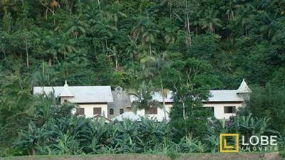 Terreno à venda, 49096 m por R$ 1.900.000,00 - São Pedro Novo - Rodeio/SC — foto 7