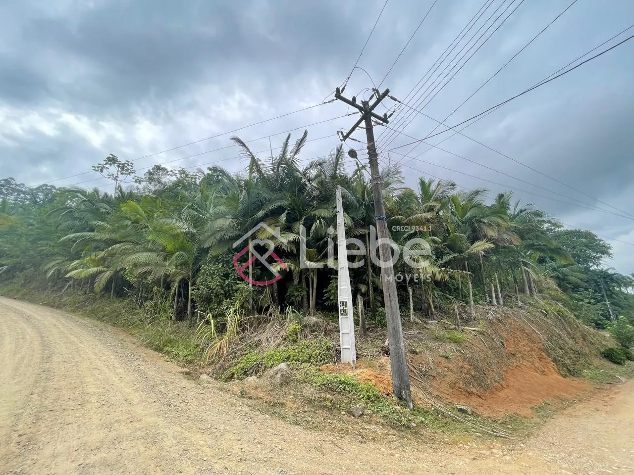 Oportunidade de Sítio com 20.538,65m no Bairro Ribeirão Souto em Pomerode com muito verde e uma vista espetacular do vale. — foto 3