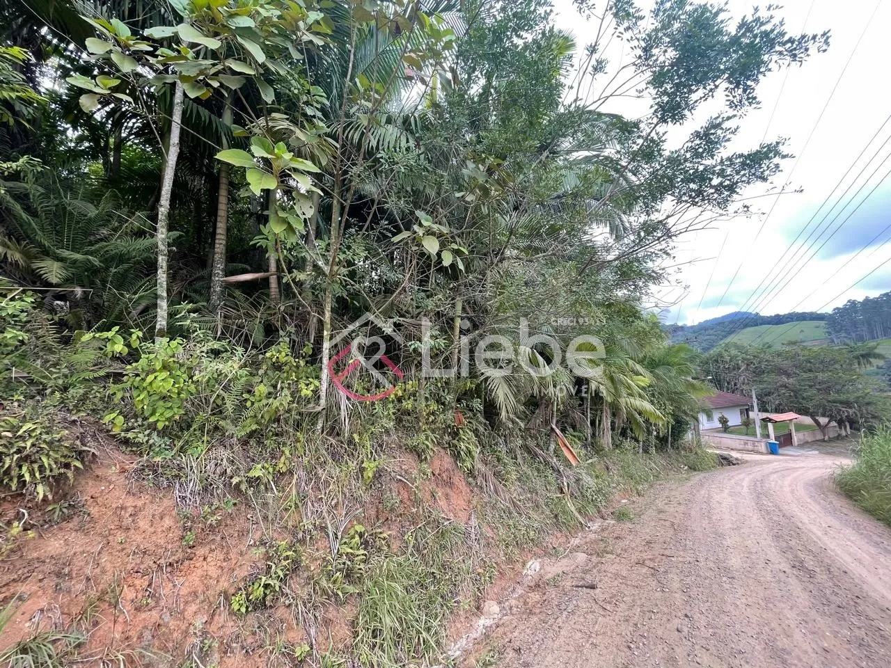 Oportunidade de Sítio com 20.538,65m no Bairro Ribeirão Souto em Pomerode com muito verde e uma vista espetacular do vale. — foto 4