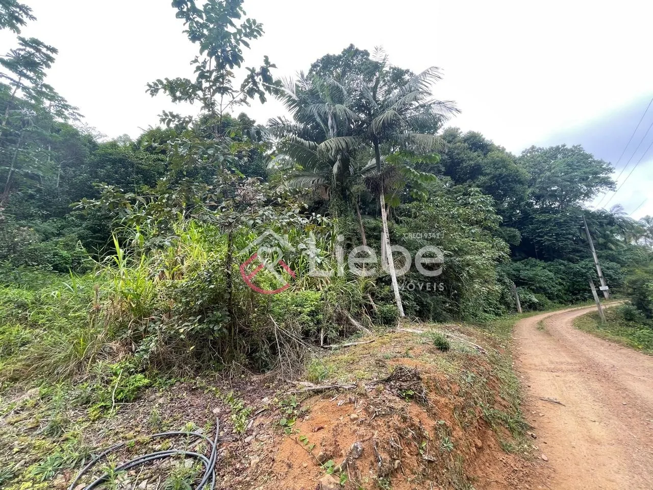 Oportunidade de Sítio com 20.538,65m no Bairro Ribeirão Souto em Pomerode com muito verde e uma vista espetacular do vale. — foto 5