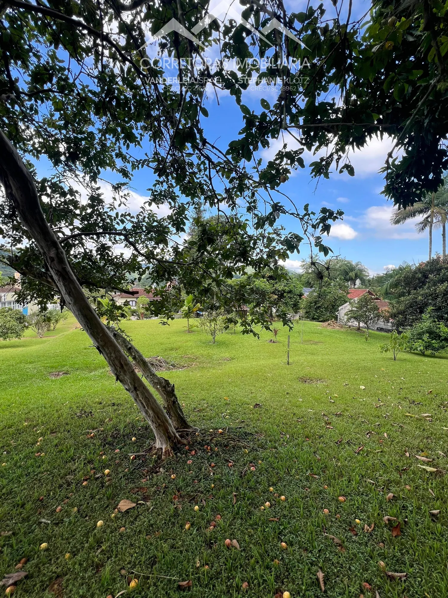TERRENO - Centro, Pomerode SC — foto 3