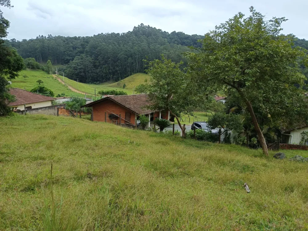 Sítio com 46.000m2 em Indaial — foto 4