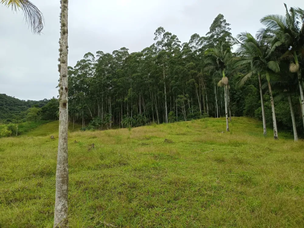 Sítio com 46.000m2 em Indaial — foto 5