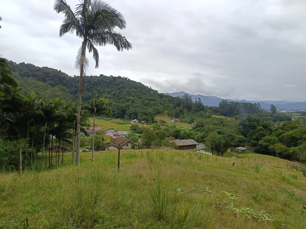 Sítio com 46.000m2 em Indaial — foto 6