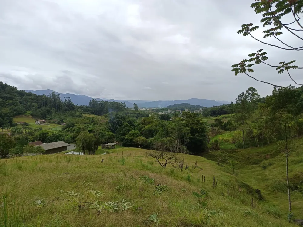 Sítio com 46.000m2 em Indaial — foto 7