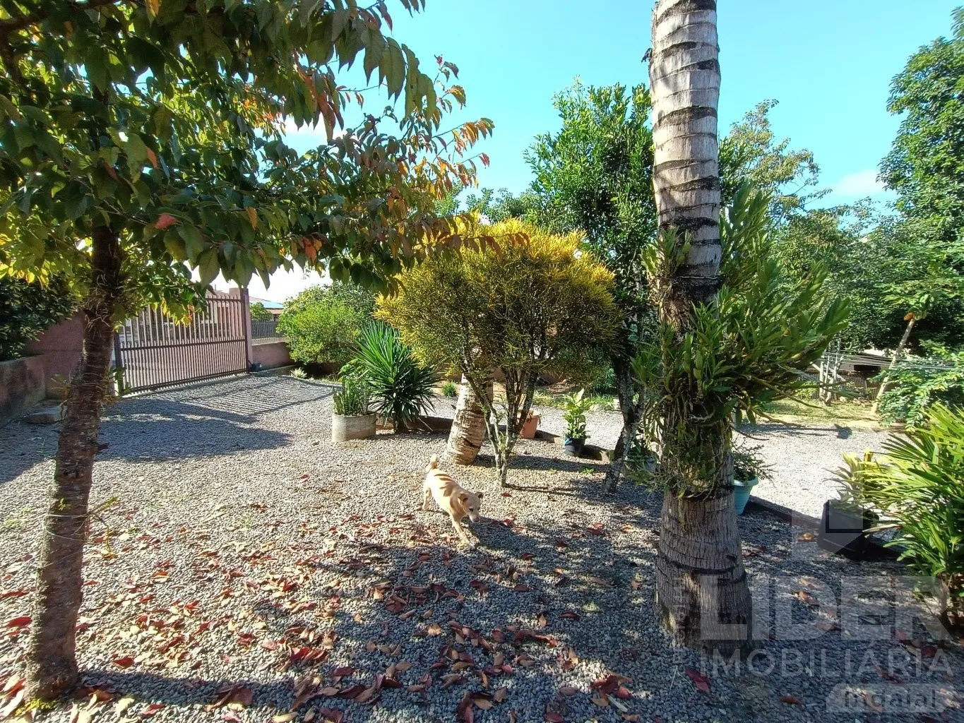Casa com 5 dormitórios no bairro Tapajós — foto 7