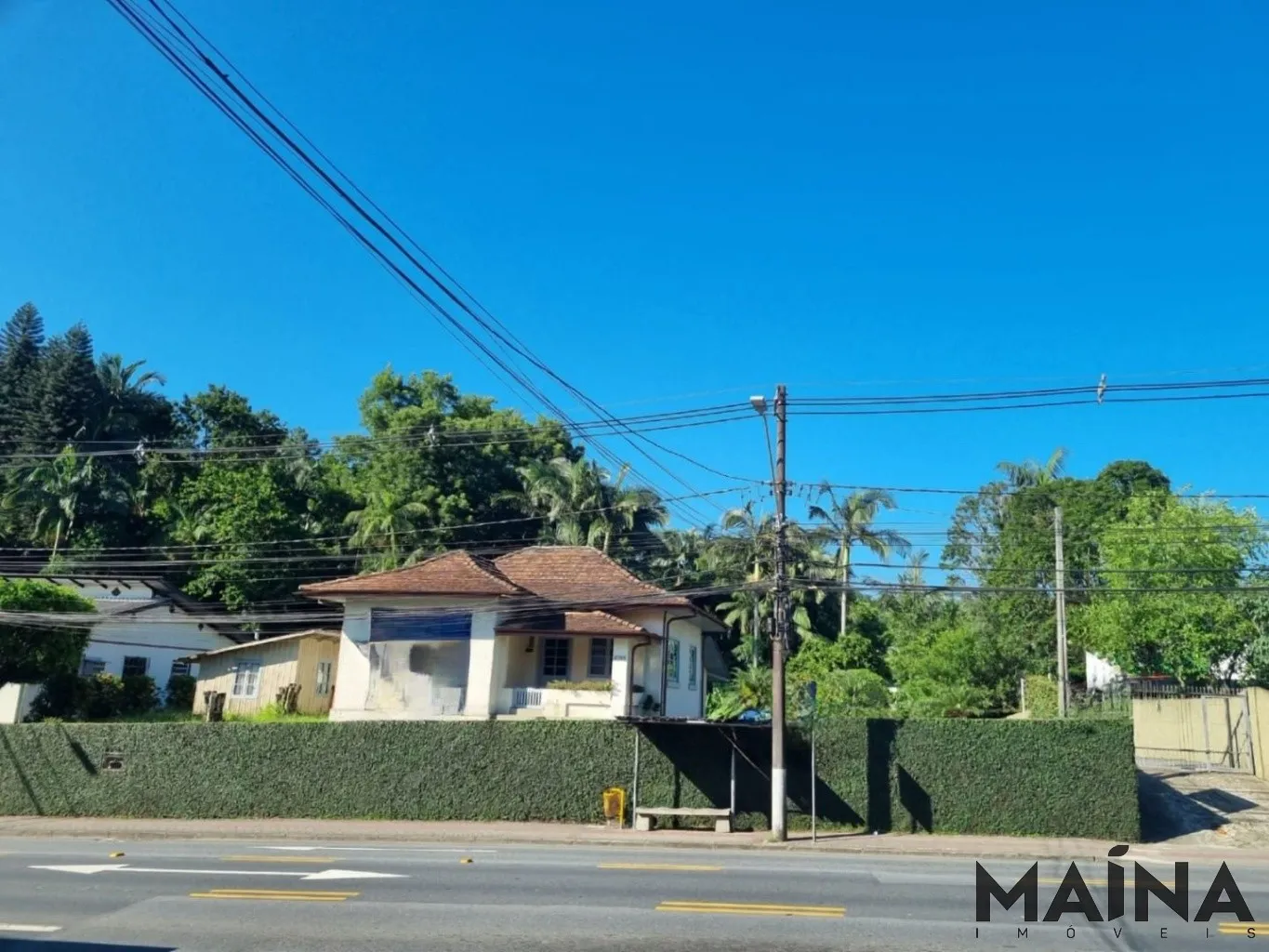 Terreno amplo no Bairro Água Verde - foto 1