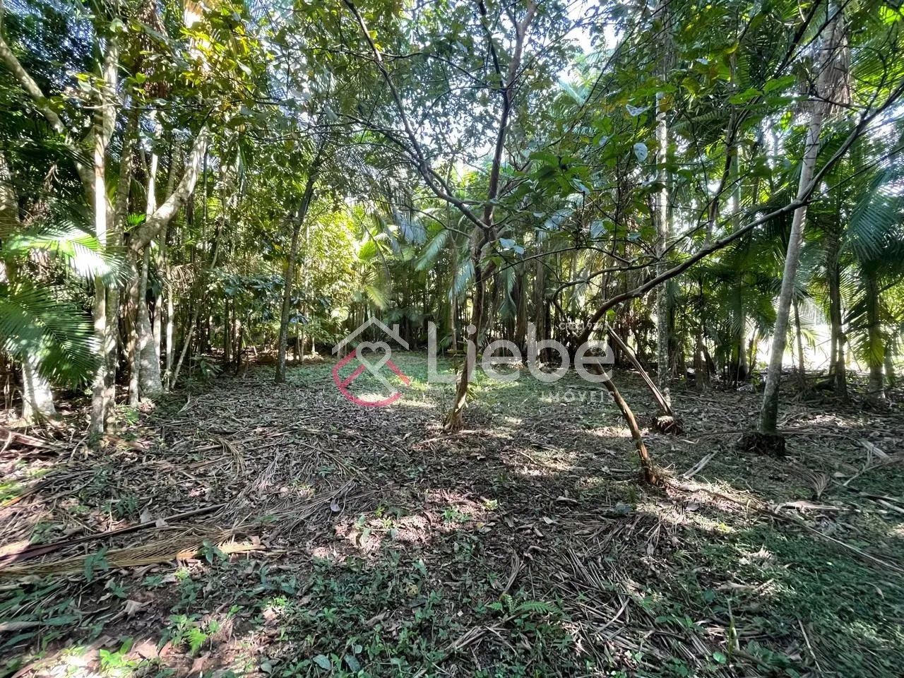 Lindo terreno na Rota do Enxaimel em Testo Alto na cidade de Pomerode com 1.004,65m e frente de 20,50mts. - foto 1
