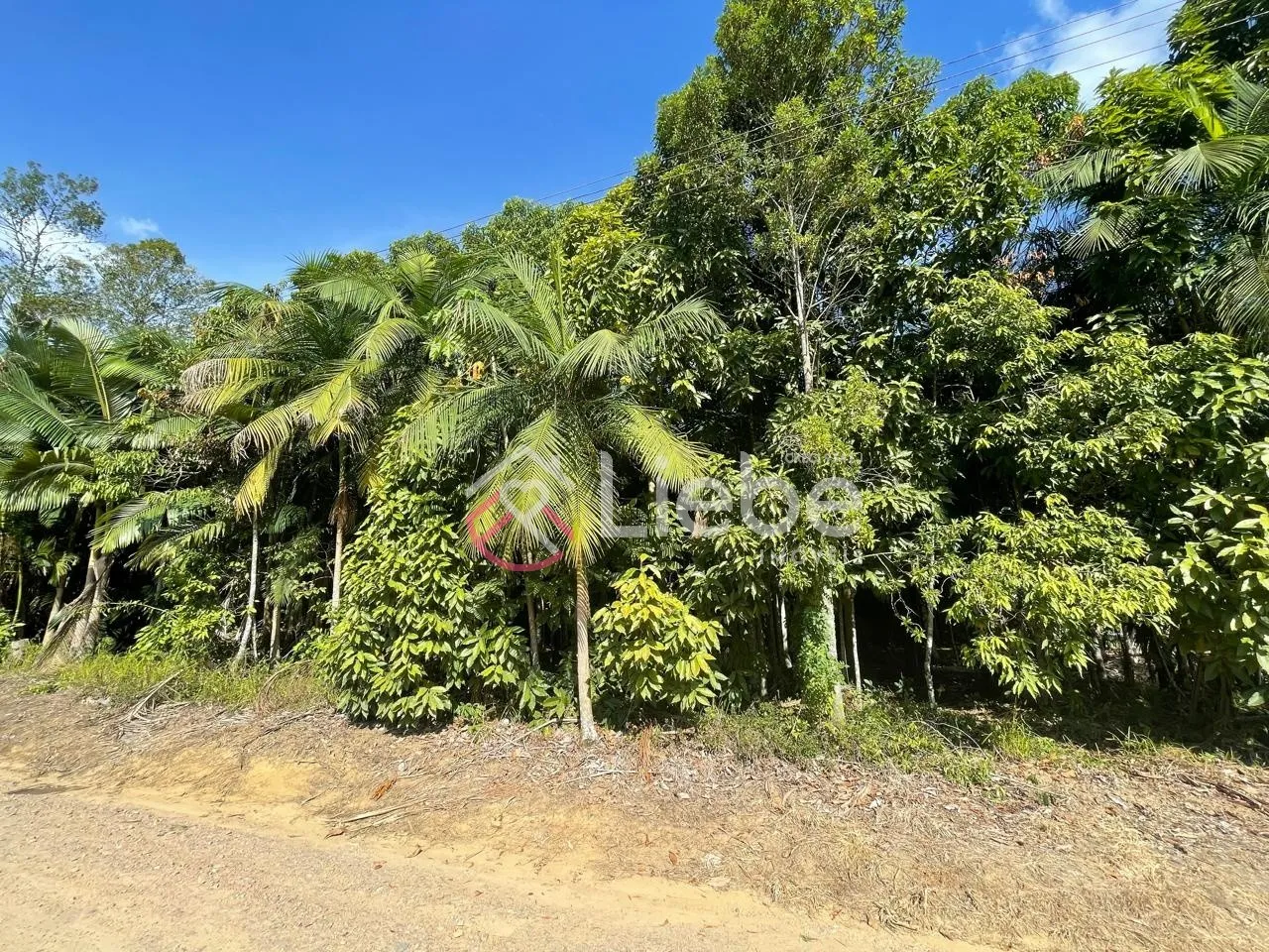 Lindo terreno na Rota do Enxaimel em Testo Alto na cidade de Pomerode com 1.004,65m e frente de 20,50mts. — foto 4