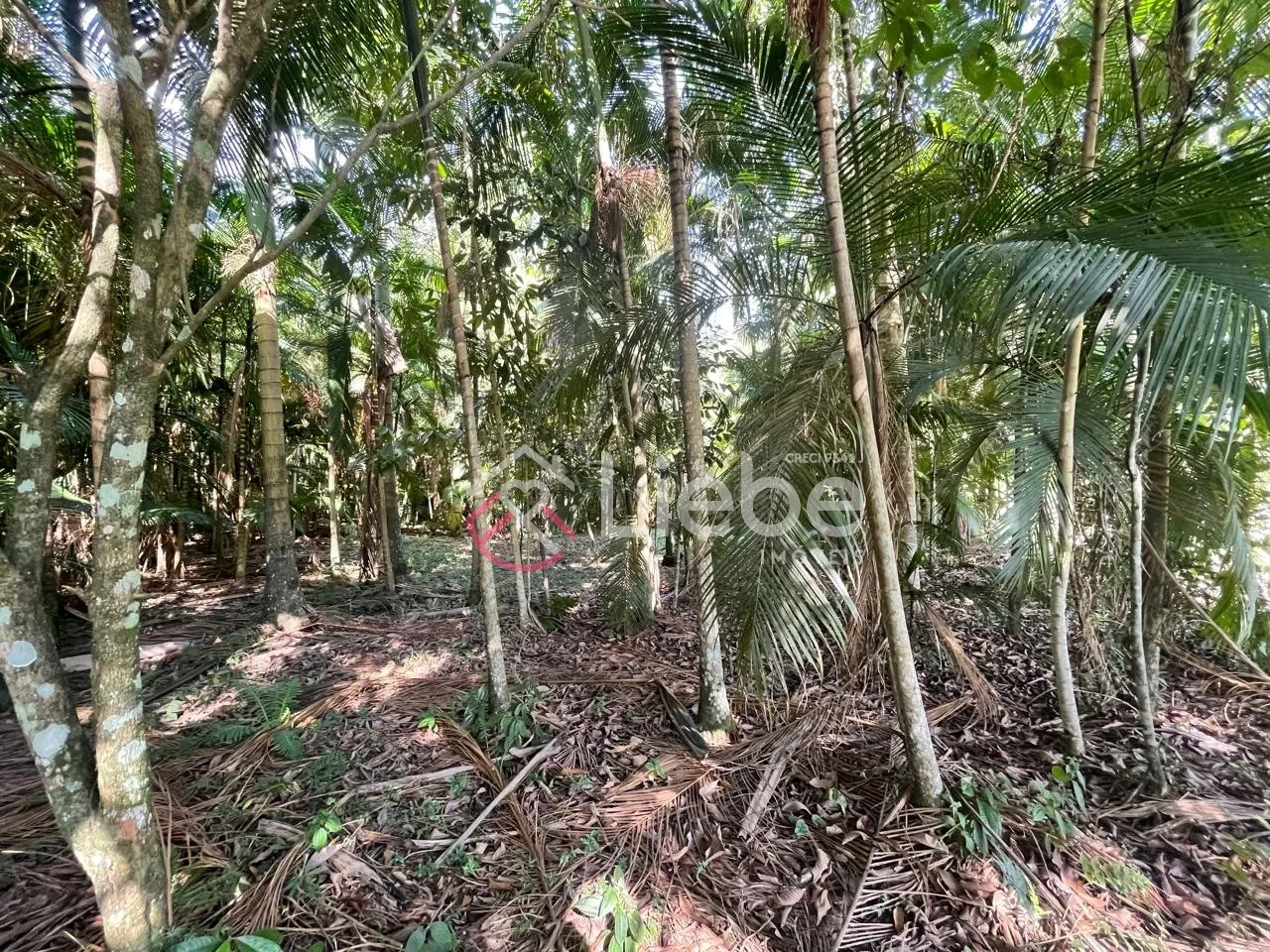 Lindo terreno na Rota do Enxaimel em Testo Alto na cidade de Pomerode com 1.004,65m e frente de 20,50mts. — foto 5