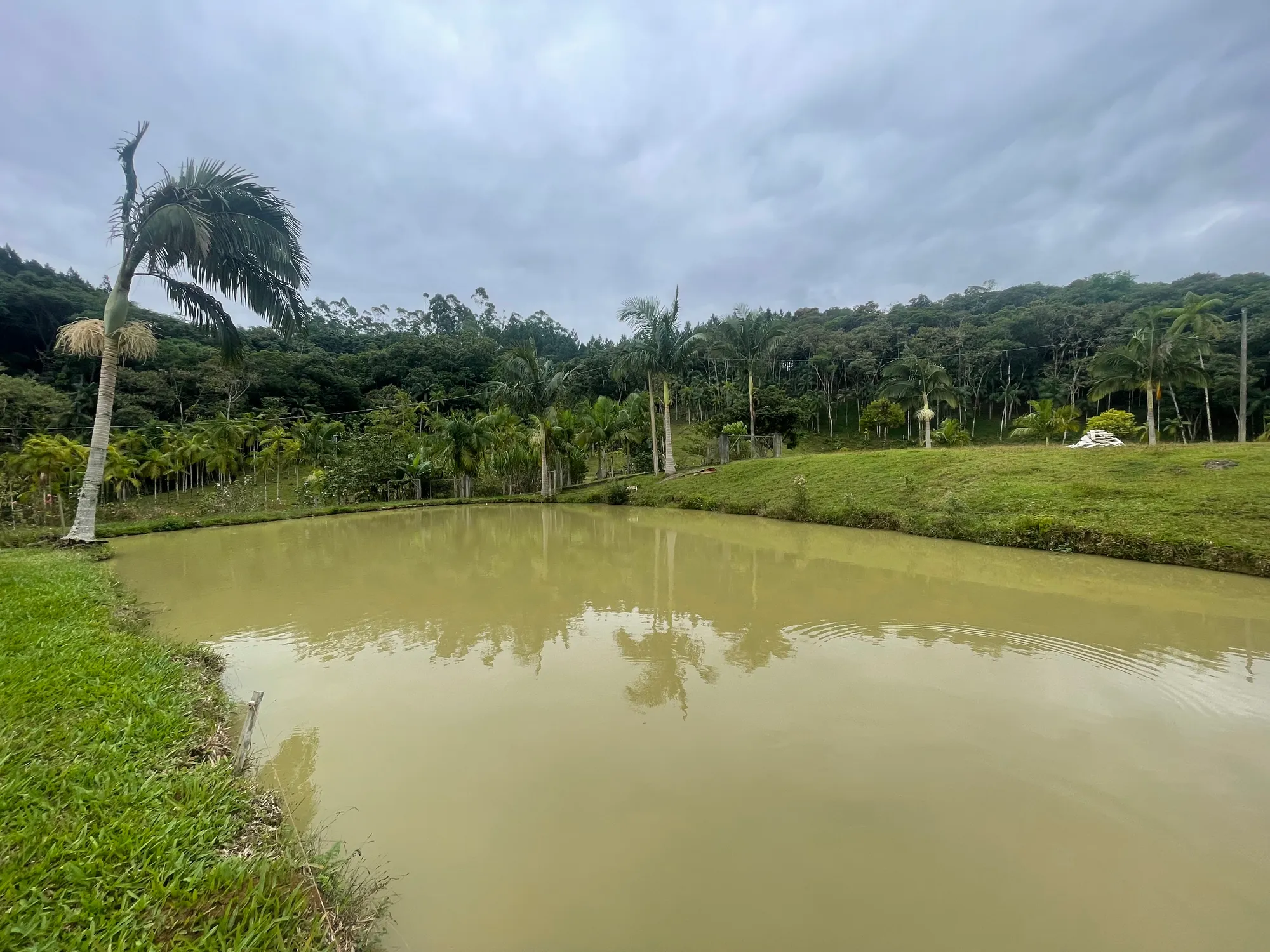 Sítio com casa, lagoas e boa topografia — foto 5