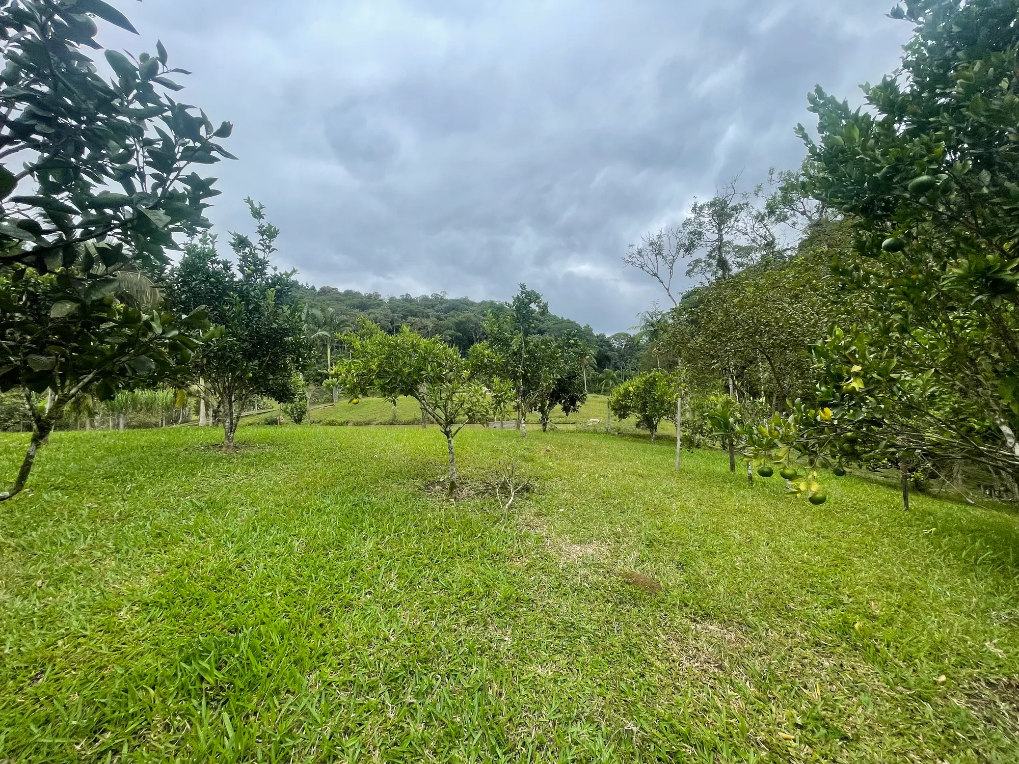 Sítio com casa, lagoas e boa topografia — foto 6