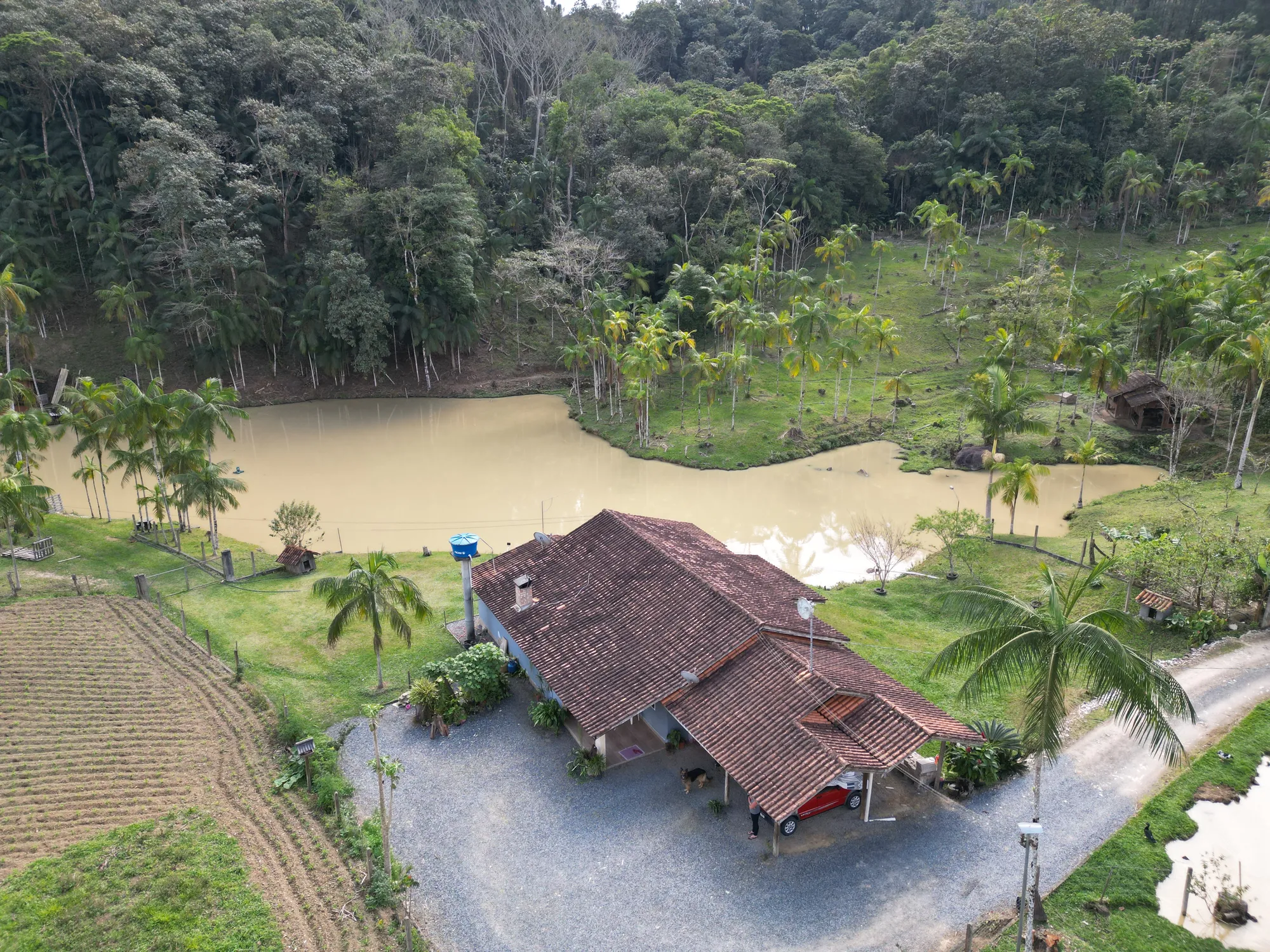 Sítio com casa, lagoas e boa topografia - foto 1