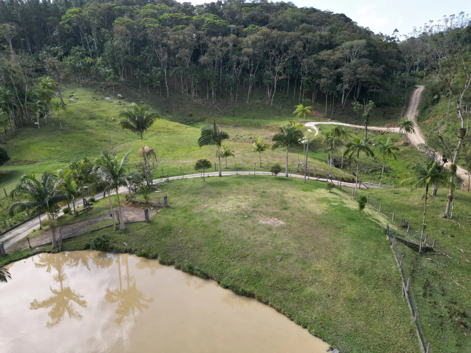 Sítio com casa, lagoas e boa topografia — foto 3