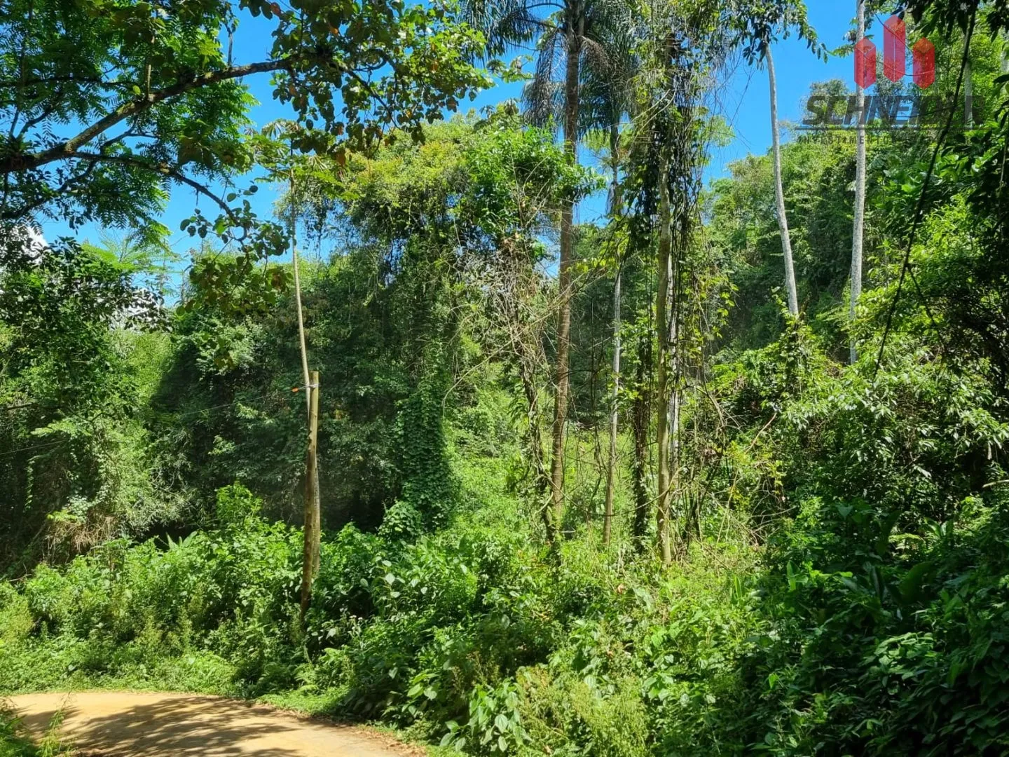Terreno à venda no bairro Rio Morto em Indaial/SC — foto 3