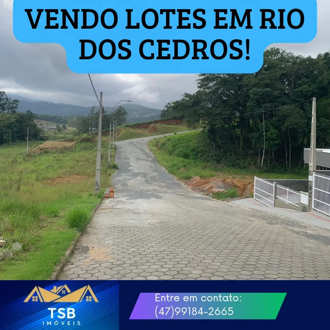 VENDO TERRENOS - foto 1