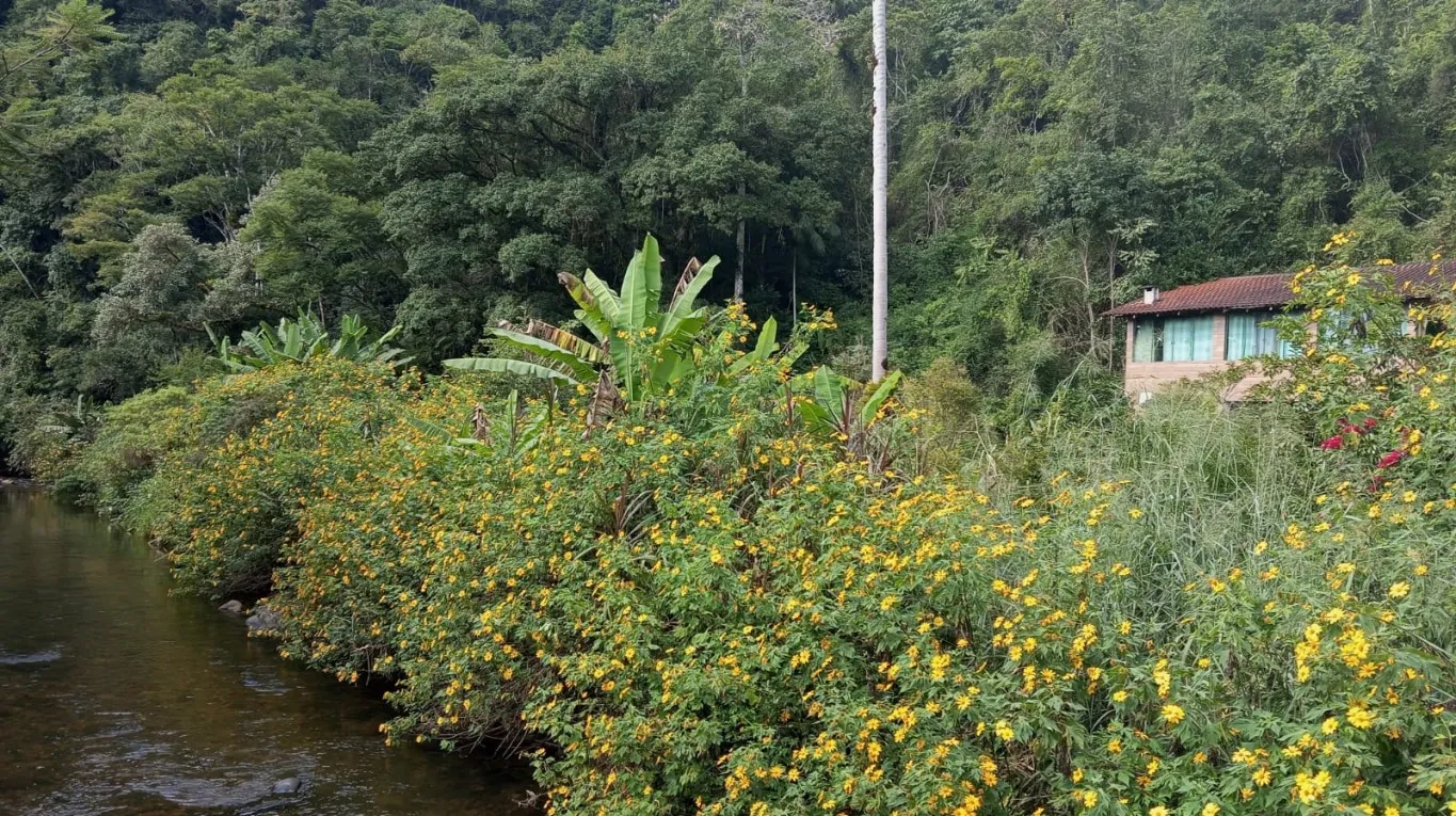 ?Sítio em Indaial/SC - 394.000 m? - foto 1