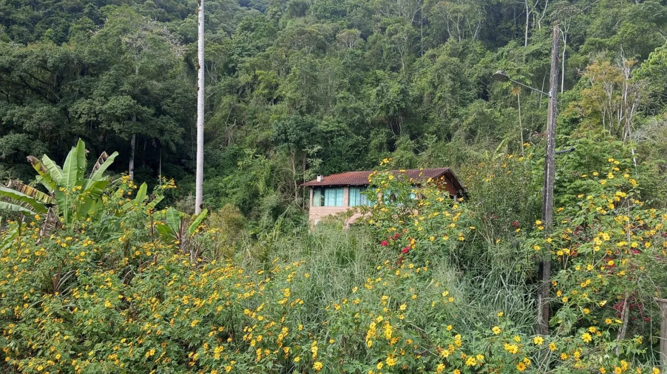 ?Sítio em Indaial/SC - 394.000 m? — foto 5