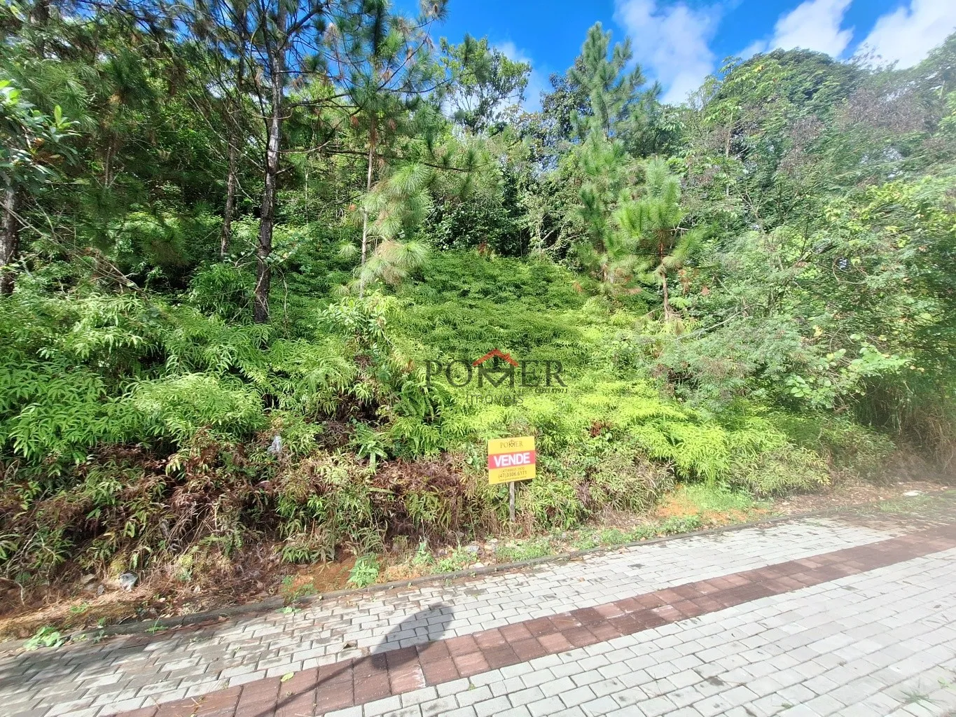Excelente terreno em importante via no centro de Pomerode, fazendo frente em 118,00 metros, com linda vista, e grande potencial. — foto 4