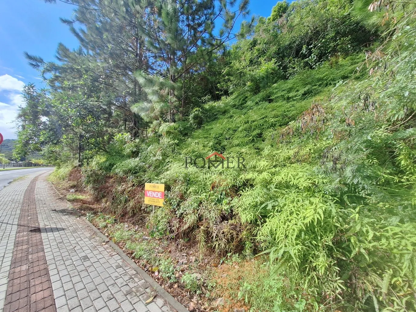 Excelente terreno em importante via no centro de Pomerode, fazendo frente em 118,00 metros, com linda vista, e grande potencial. — foto 6