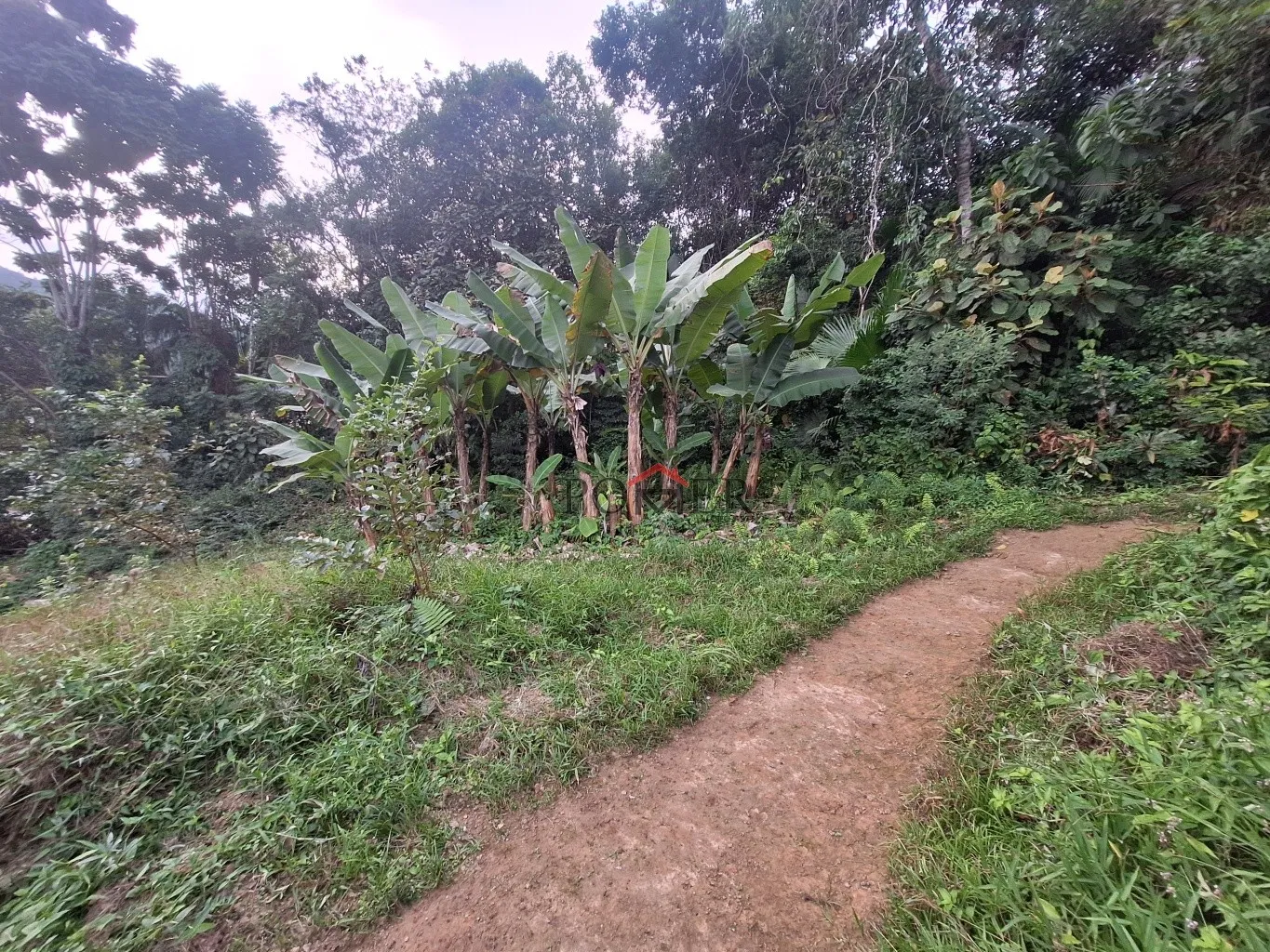 Excelente terreno em importante via no centro de Pomerode, fazendo frente em 118,00 metros, com linda vista, e grande potencial. — foto 2