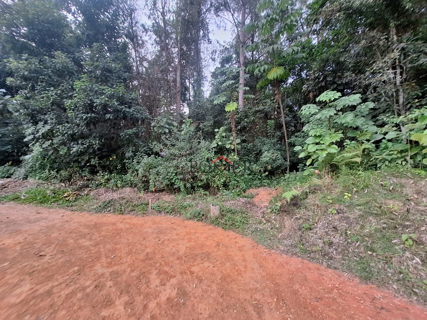 Excelente terreno em importante via no centro de Pomerode, fazendo frente em 118,00 metros, com linda vista, e grande potencial. — foto 3