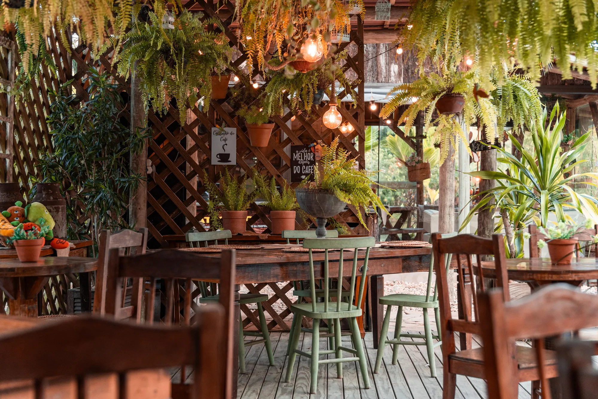 Sítio completo em Gaspar! — foto 7