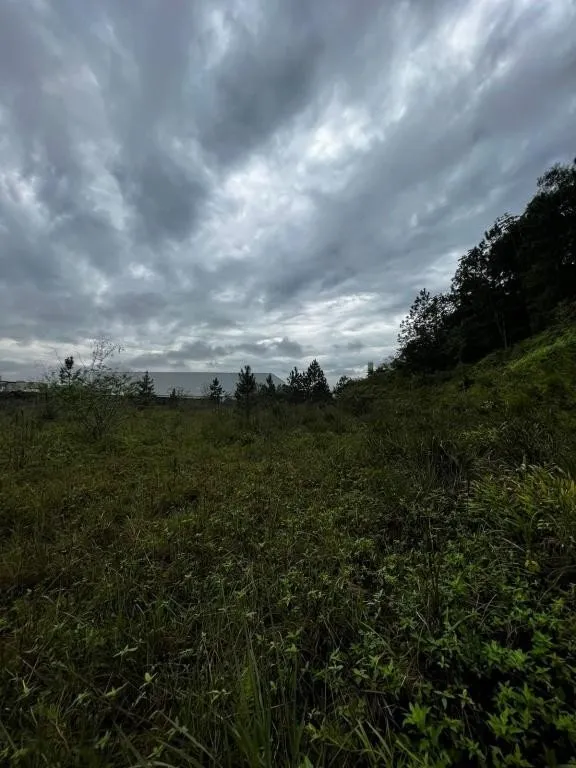 TERRENO no ZONA INDUSTRIAL NORTE com 0 quartos para VENDA, 8868 m — foto 4