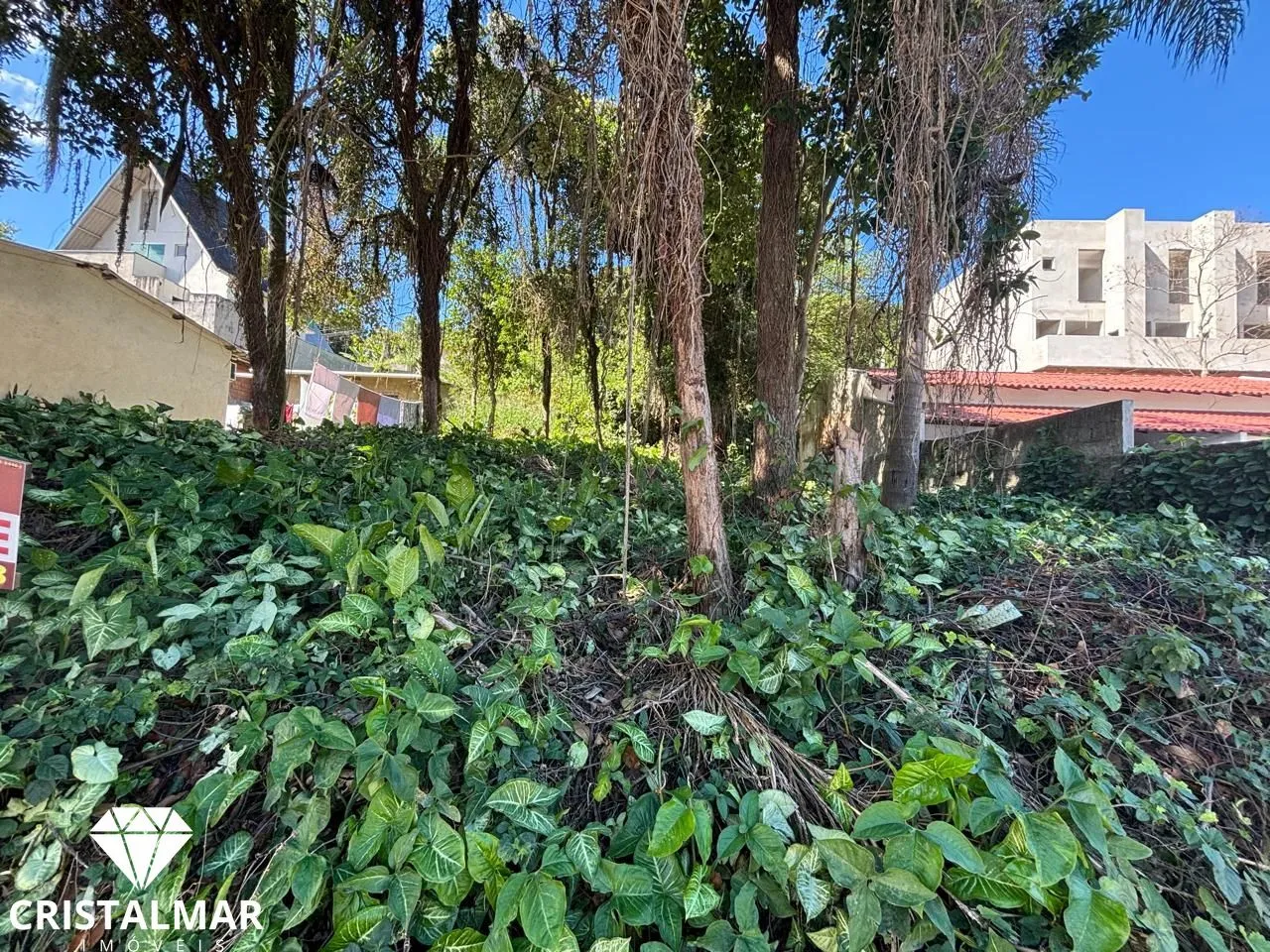 Terreno alto, Avenida Martin Pescador, Bombas SC — foto 2