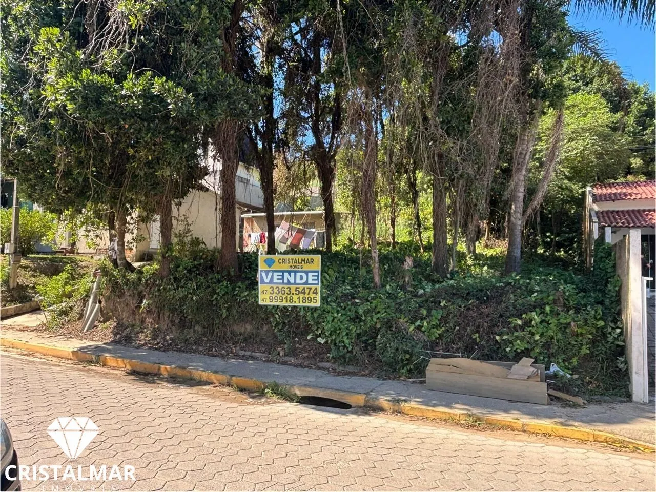 Terreno alto, Avenida Martin Pescador, Bombas SC — foto 3