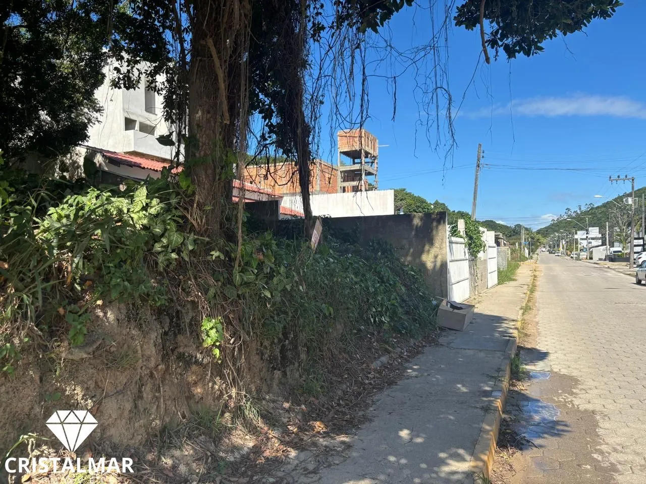 Terreno alto, Avenida Martin Pescador, Bombas SC — foto 5