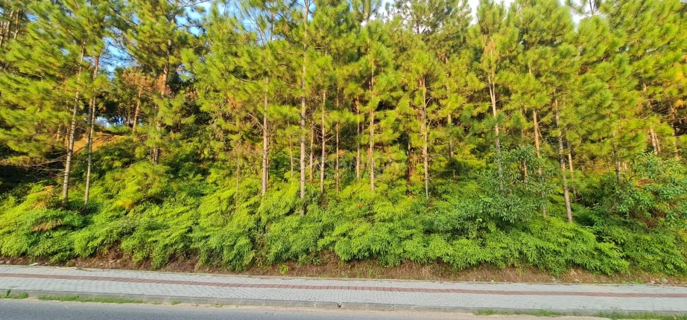 Comprar amplo terreno no centro de Pomerode - SC - foto 1