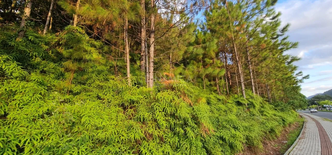 Comprar amplo terreno no centro de Pomerode - SC — foto 3