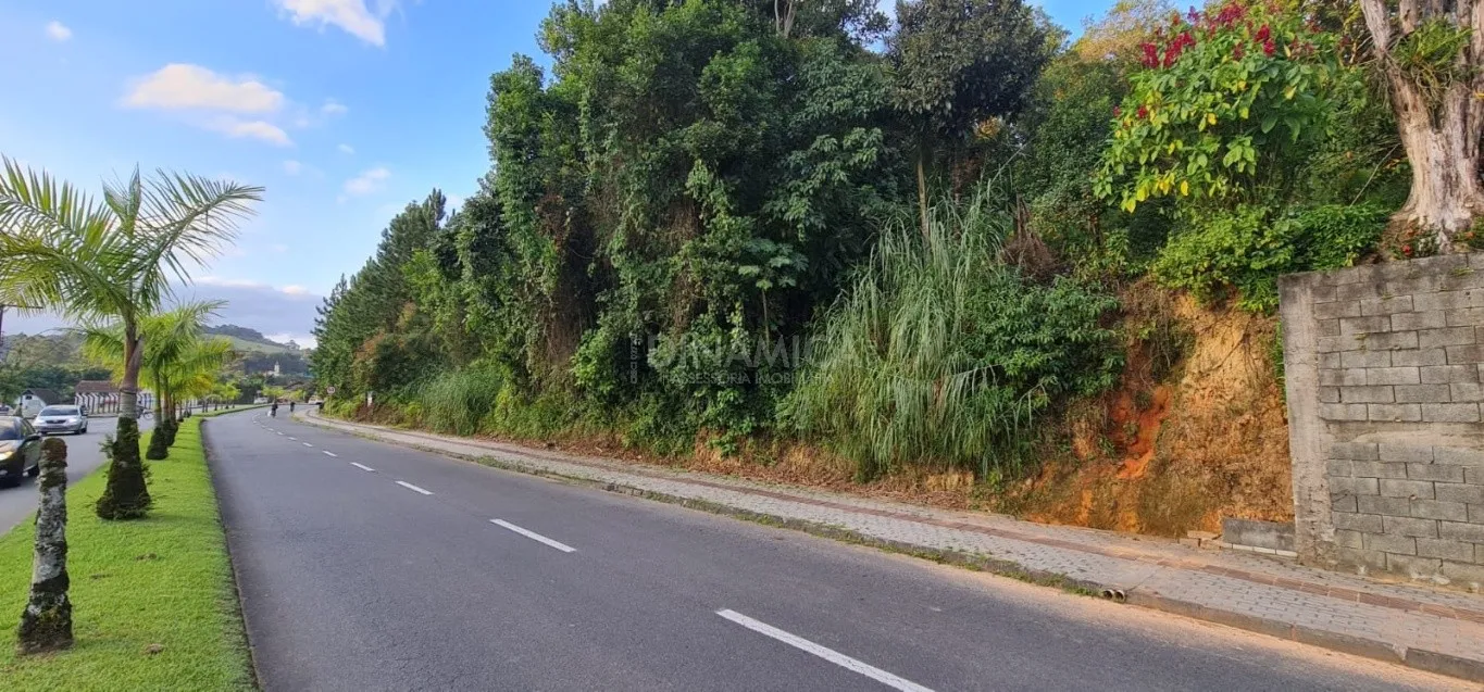Comprar amplo terreno no centro de Pomerode - SC — foto 4