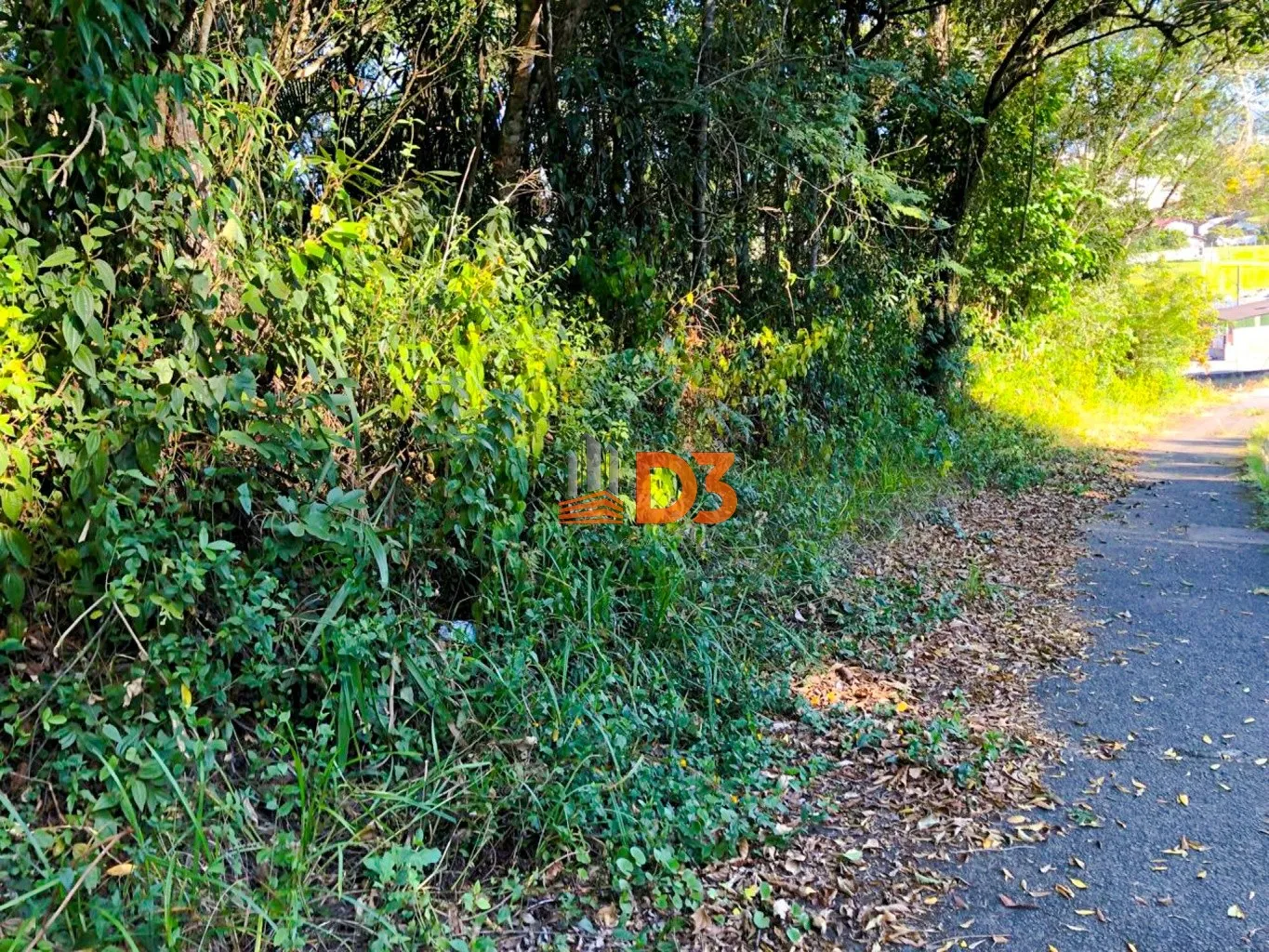 Amplo Terreno na região da Fortaleza — foto 4