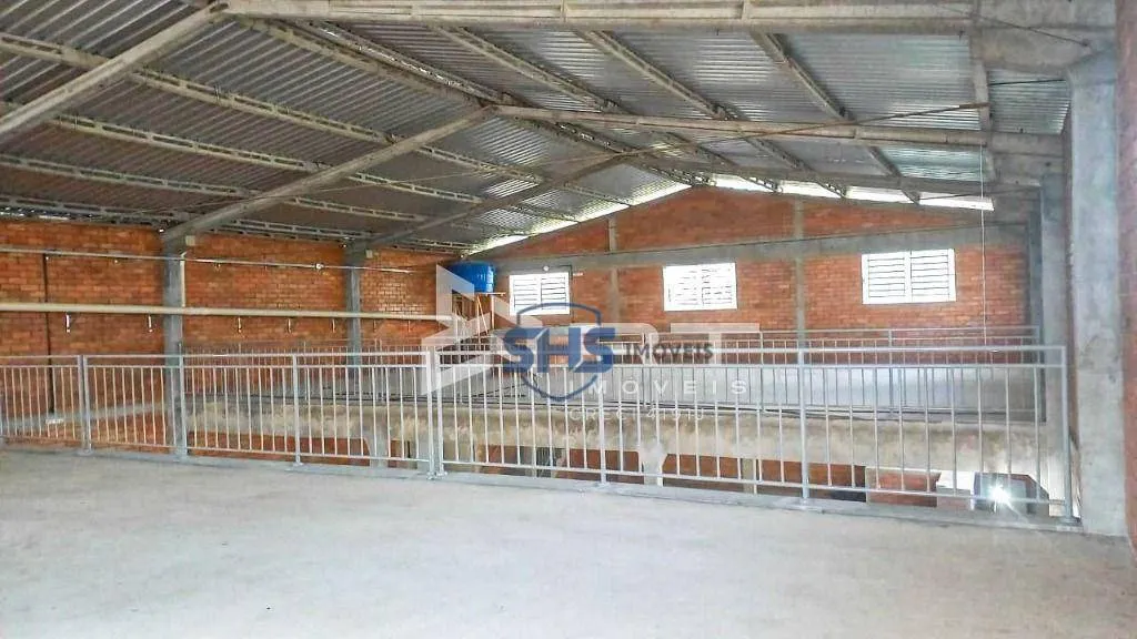 Galpão para alugar, 750 m por R$ 15.000,02/mês - Boa Vista - Blumenau/SC - foto 1