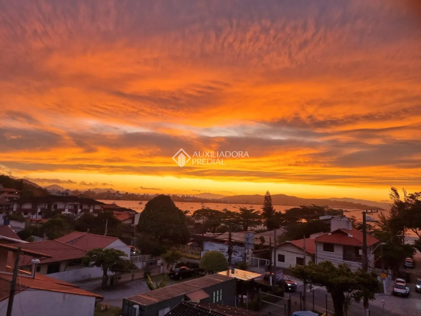Imóvel - foto 1