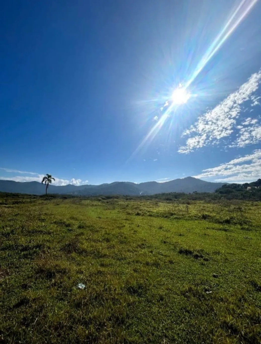 Imóvel — foto 5