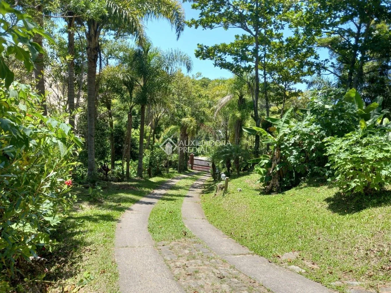 Imóvel — foto 4