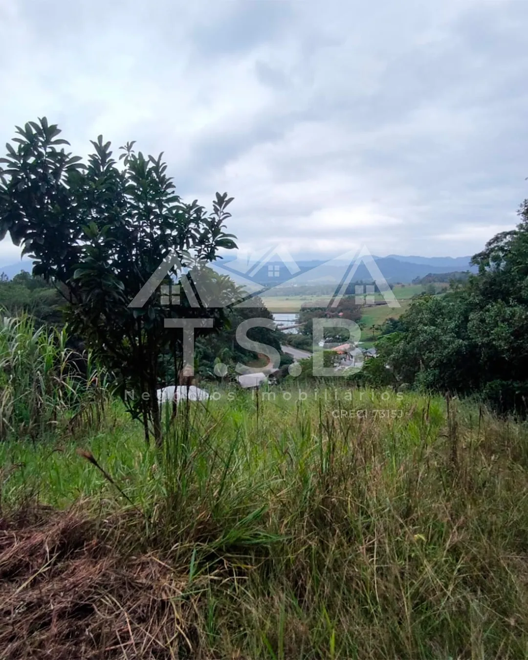 VENDO TERRENO — foto 3