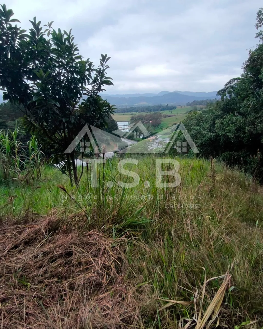 VENDO TERRENO — foto 5